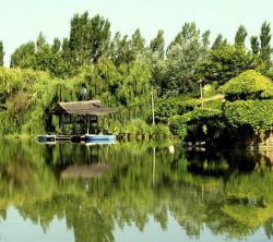 Yeguada Senillosa Finca Rural 