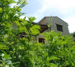 El Refugio de los Molinos