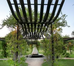 Ardea Purpurea Lodge