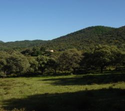 Finca Las Mogeas
