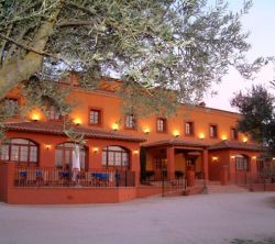 Olivar De Las Mangas