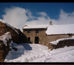 La Salamandra De Gredos