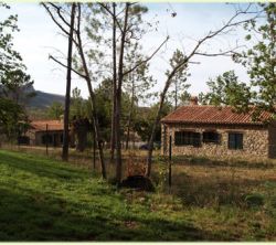 El Castaar I, Ii, Iii, Iv