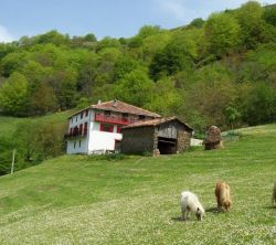 Bagoleko Borda 1 Y 2