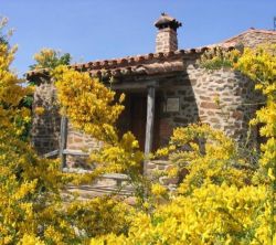 El Jiniebro Turismo Rural