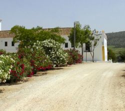 Hacienda El Santiscal