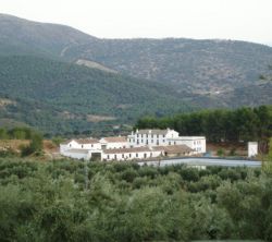 Cortijo De Bornos