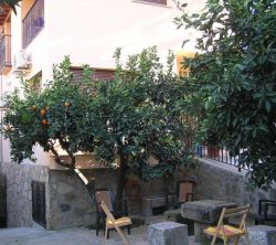 Apartamento Turstico Los Naranjos