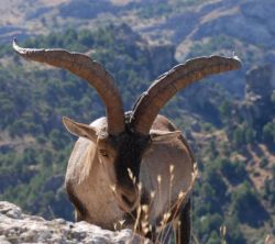 Alojamientos Rurales Zumeta Valle
