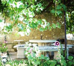 Palacio  Condes De Rodezno