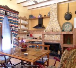 Tio Jose Maria - Tomillo