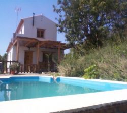 Algarrobos De Ardite