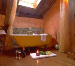 El Bosque De Las Viñas