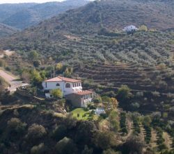 Quinta De La Concepcion