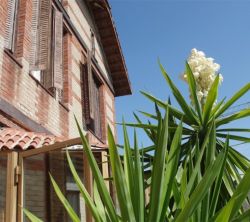 La Mansion De Navalcarnero