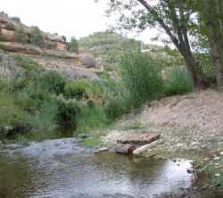 Hostal Restaurant els Tres Pins