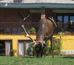 Casa Rural Los Galpagos