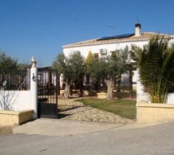 Cortijo Rural Encina Vieja