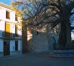 Casa Plaza Olmo