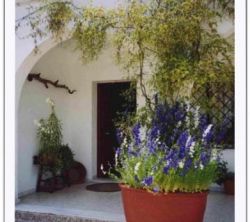 Cortijo El Chaparral