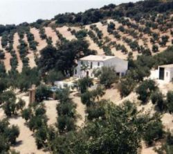 Cortijo La Leona