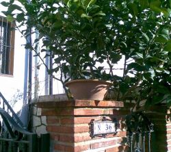 Casa Huerta San Miguel