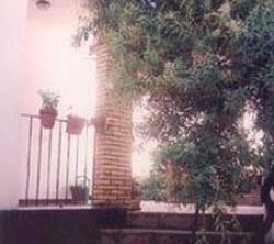 El Patio De La Abuela