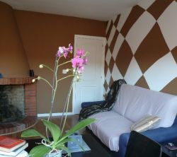 Apartamentos Casco Antiguo Candeleda