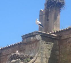 Apartamento Turstico Cazires