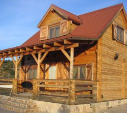 La Ardilla Silvestre