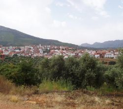 Finca De La Artesita