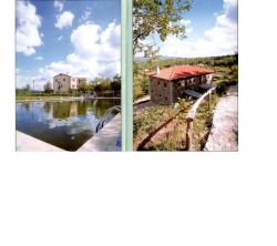 Condado Miranda Del Castaar