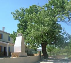 Casas Rurales Arroyo Franco