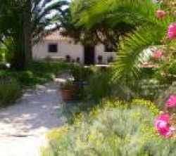 Monte Das Buganvilias