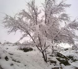Casa Cerro De La Fuente