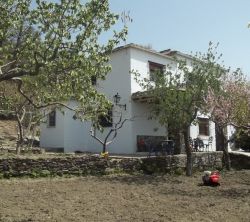 Cortijo El Tejarillo