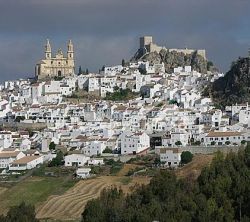 Hotel Fuente Del Pino