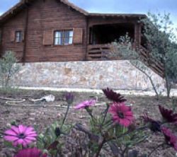 Casa Entreolivos Rural