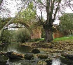 El Trillo de Pearrubias